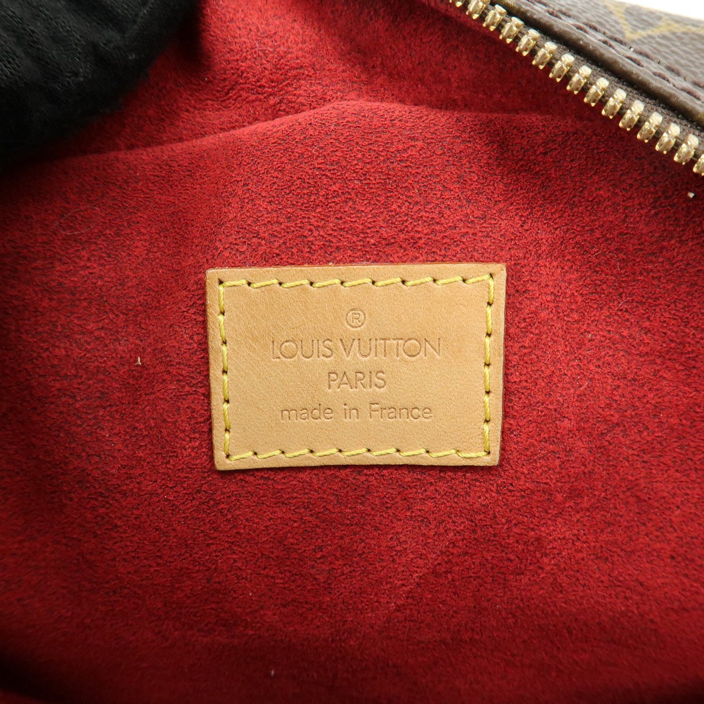Louis Vuitton Excentri-Cite Monogram Canvas