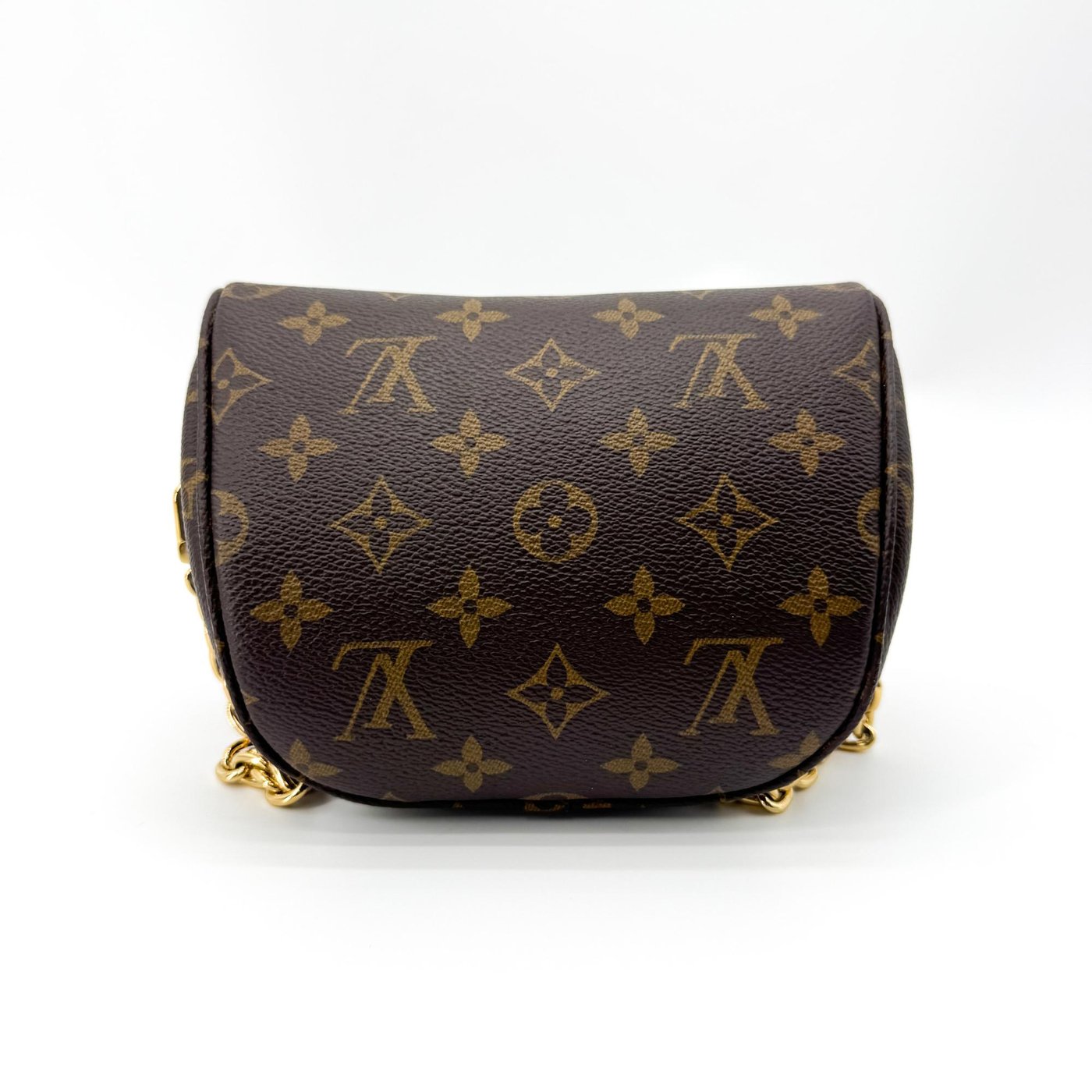 Louis Vuitton Bum Monogram Canvas Mini