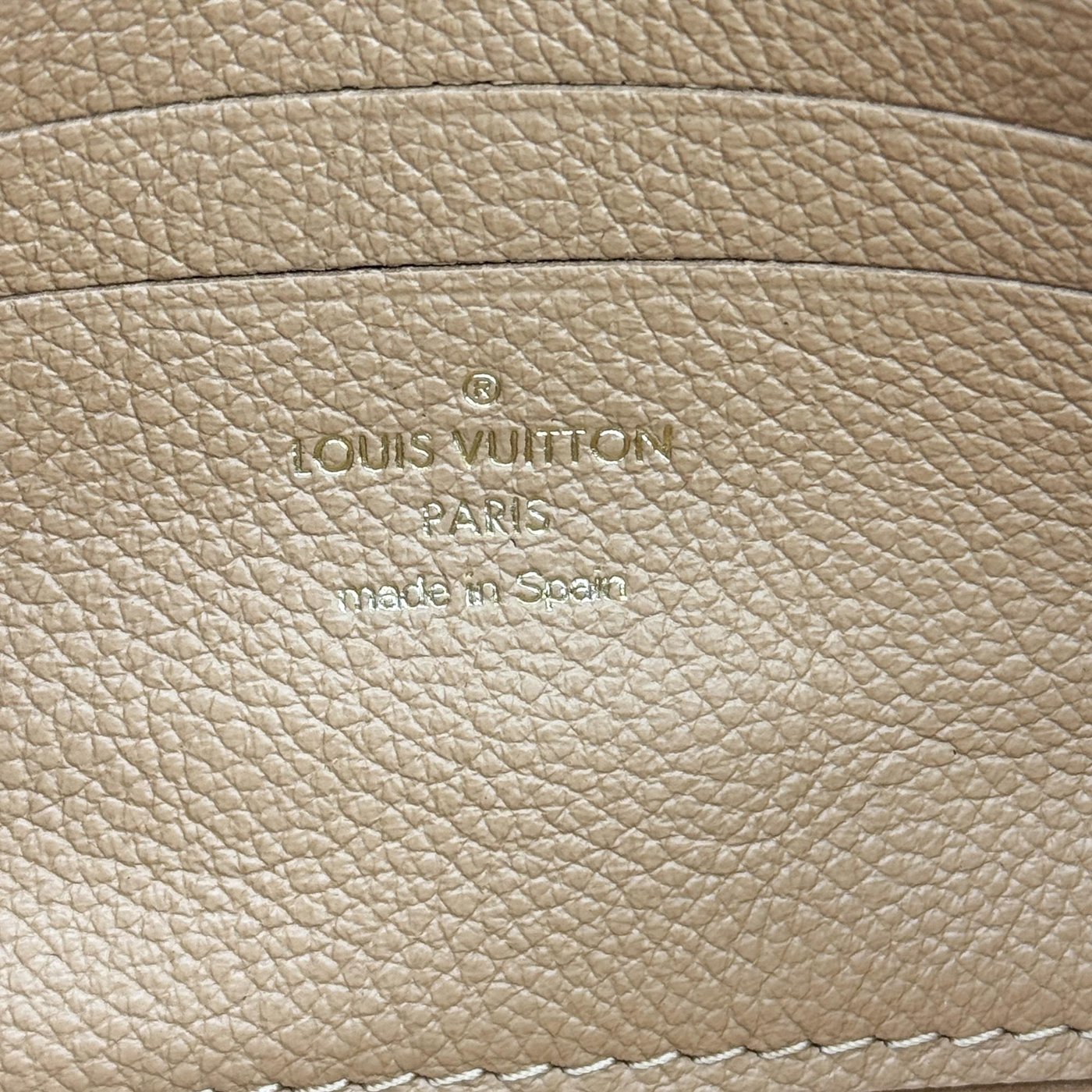 Louis Vuitton Ivy Wallet on Chain Bicolor Monogram Empreinte Giant