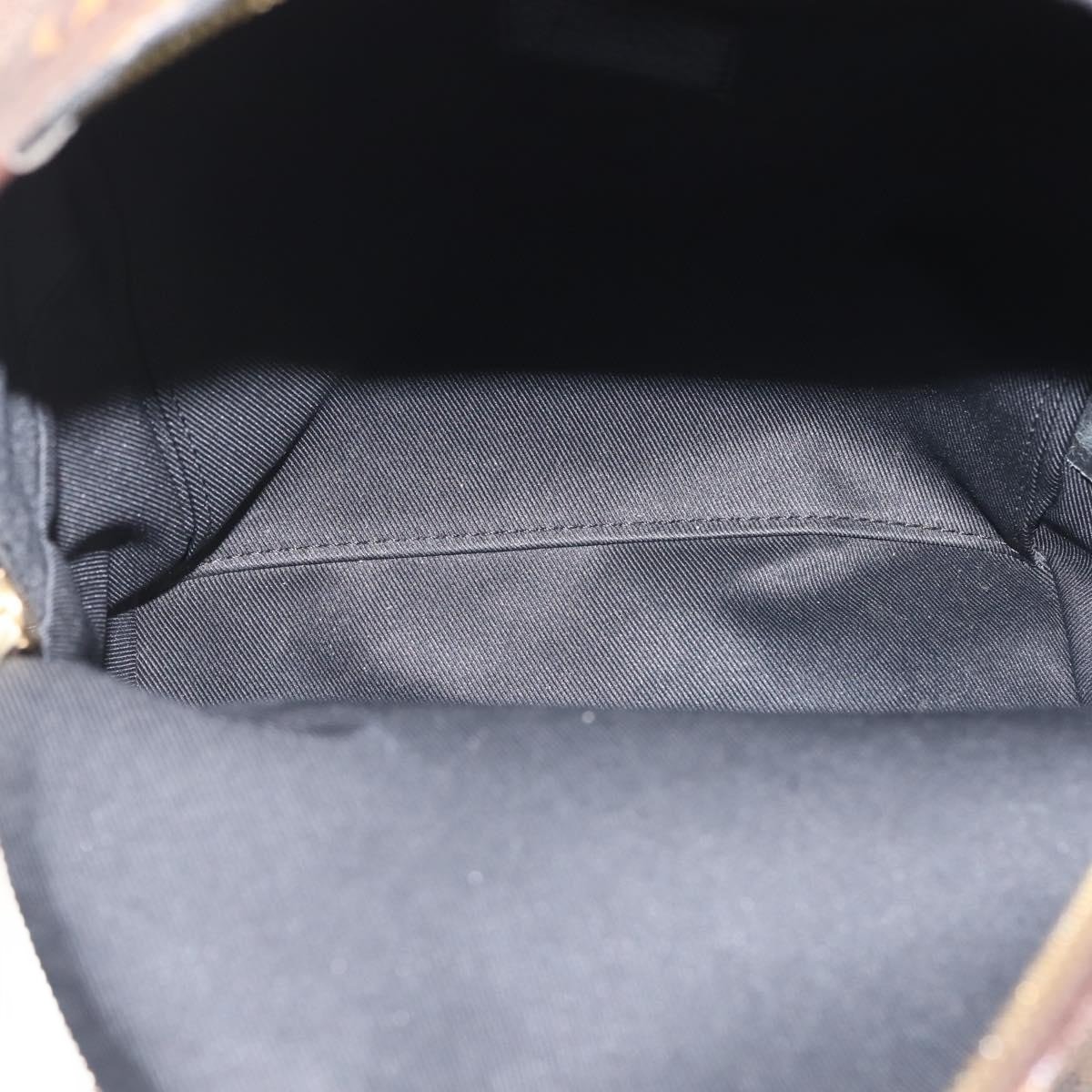 Louis Vuitton Palm Springs Reverse Monogram Canvas PM