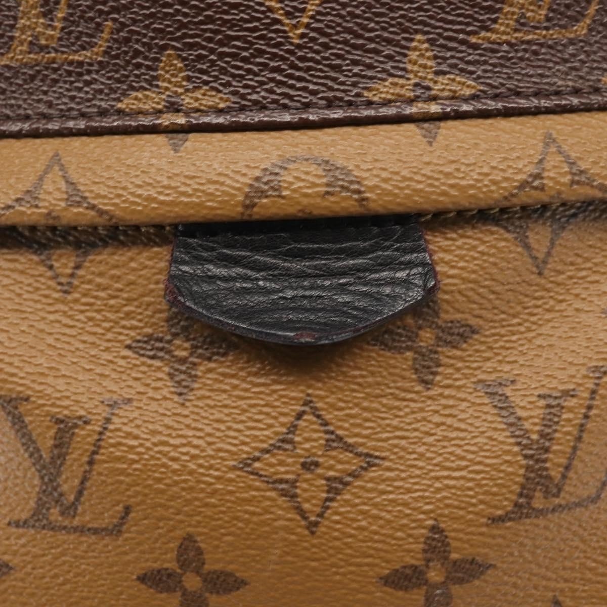Louis Vuitton Palm Springs Reverse Monogram Canvas PM