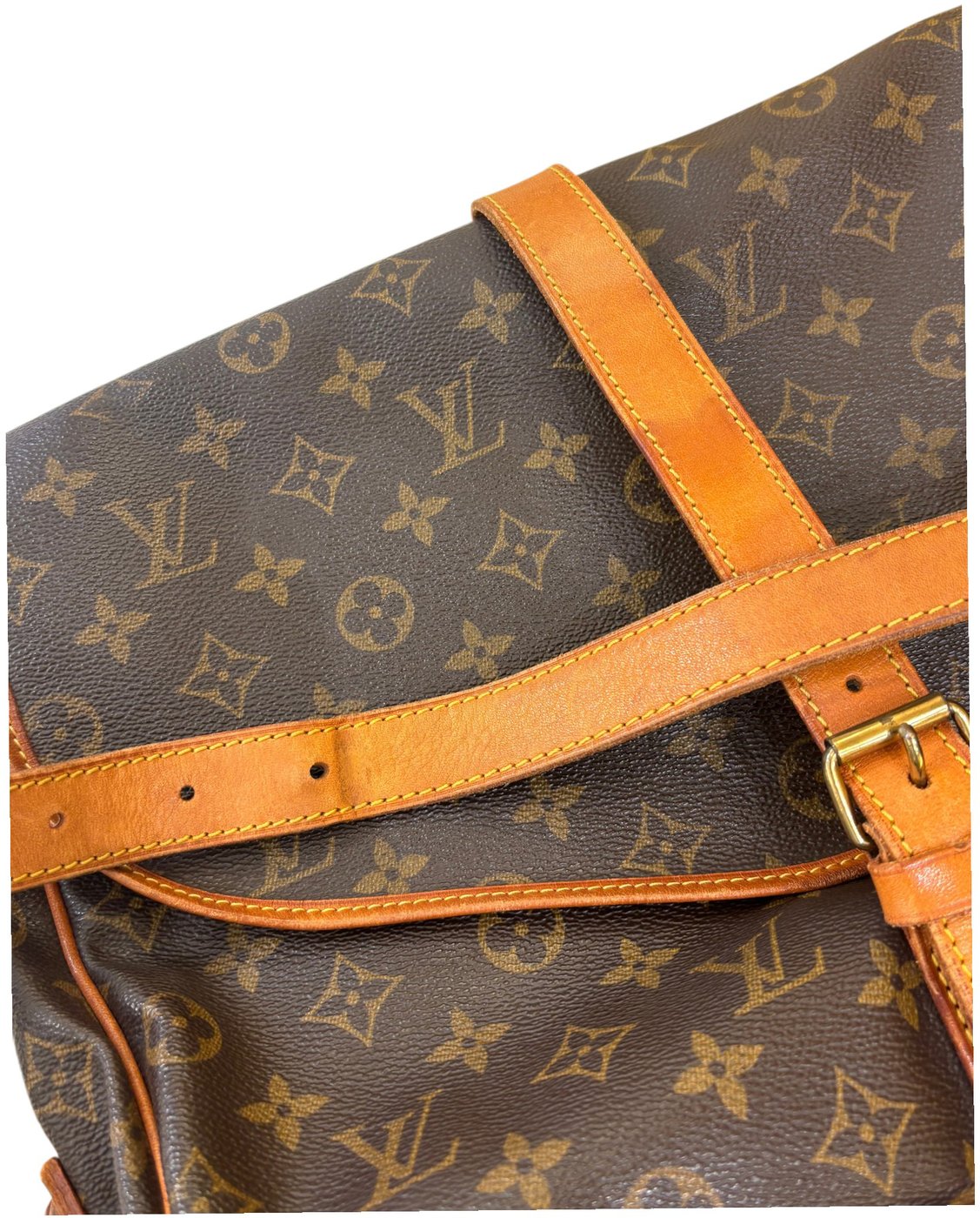 Louis Vuitton Flore Saumur Perforated Monogram Canvas