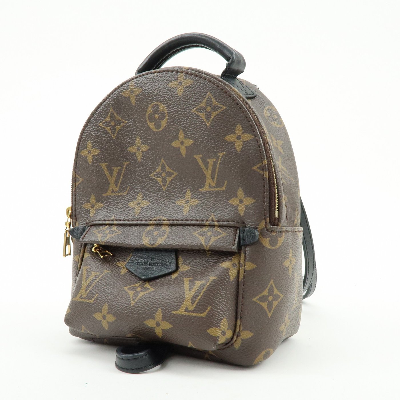 Louis Vuitton Palm Springs Monogram Canvas Mini