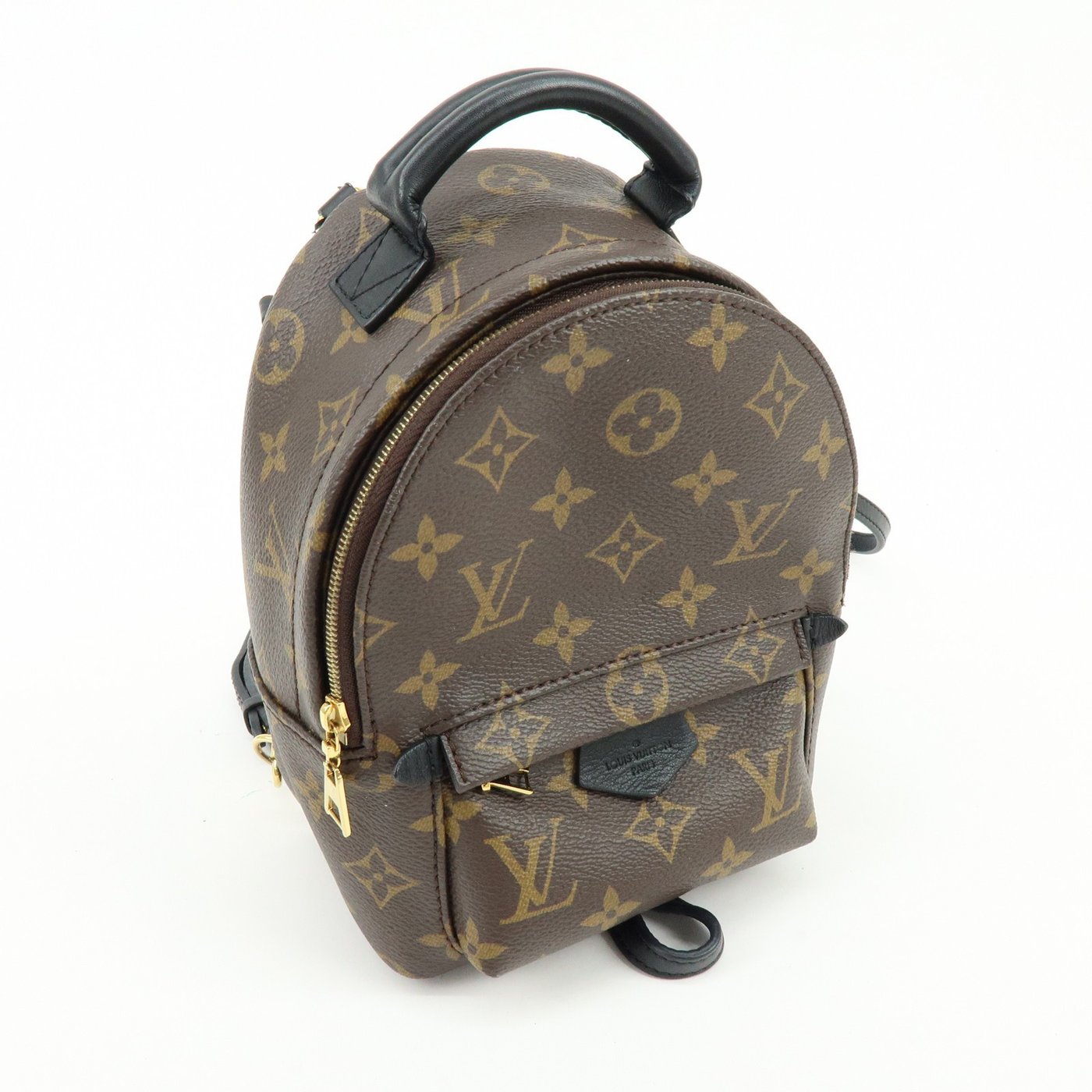 Louis Vuitton Palm Springs Monogram Canvas Mini