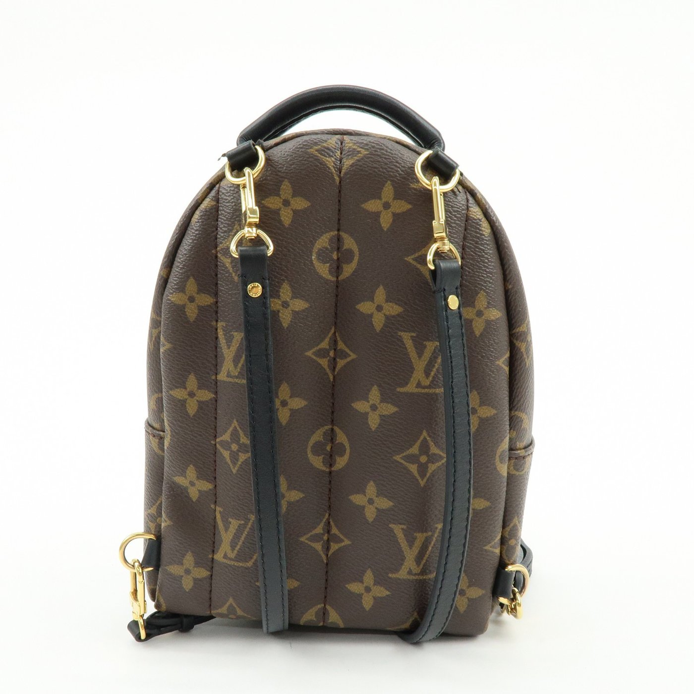 Louis Vuitton Palm Springs Monogram Canvas Mini