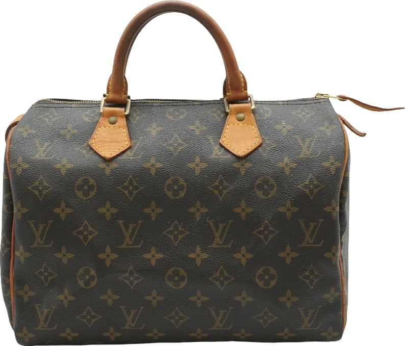 Louis Vuitton Speedy Monogram Canvas 30