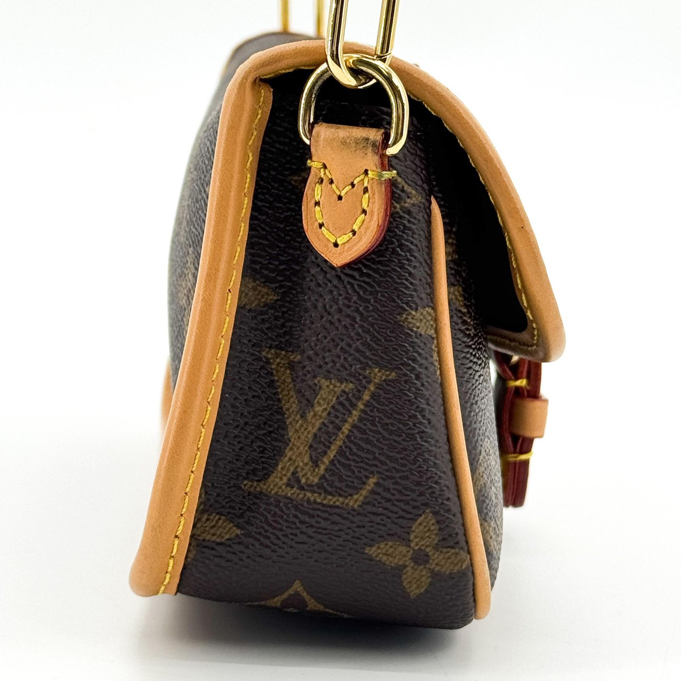 Louis Vuitton Diane NM Monogram Canvas Nano