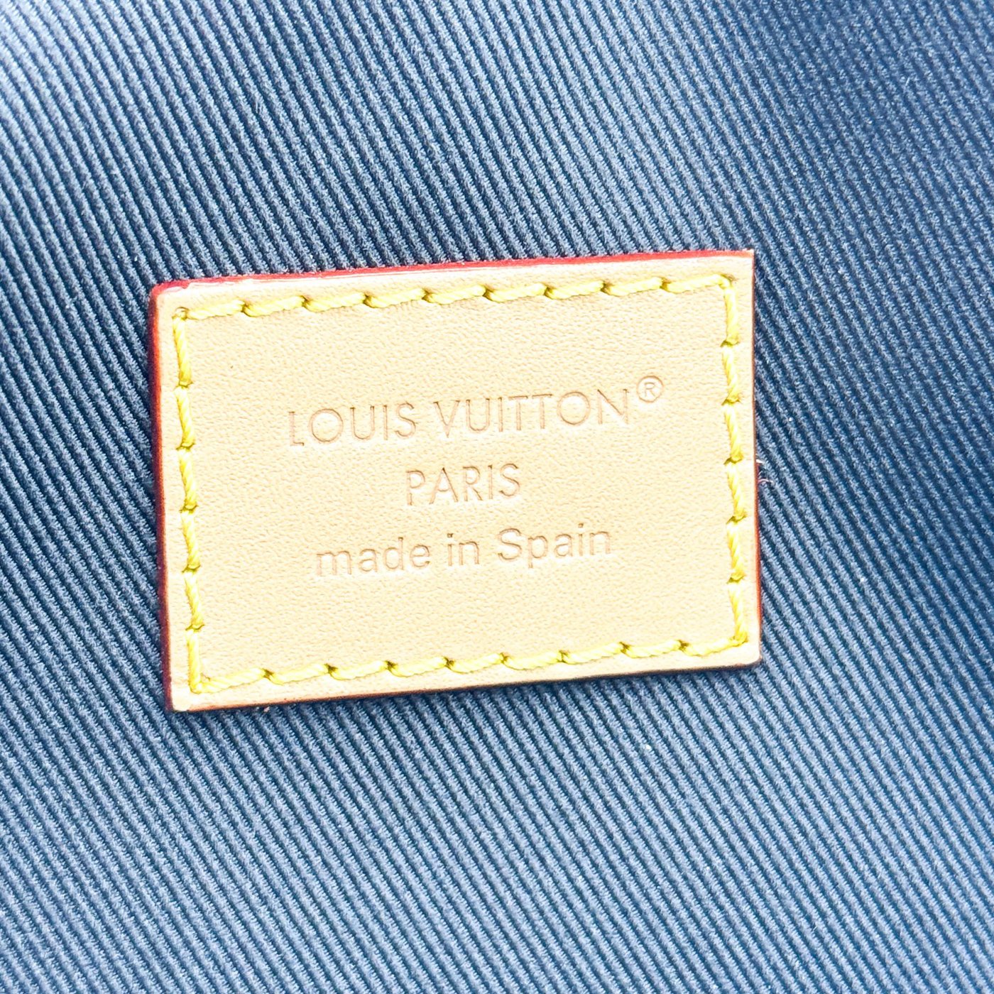 Louis Vuitton Diane NM Monogram Canvas Nano