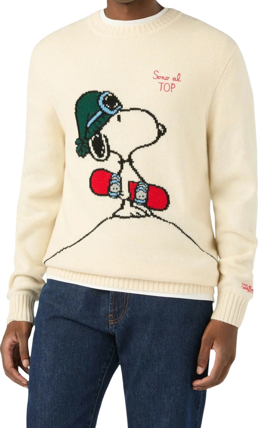 Sweaters Panna