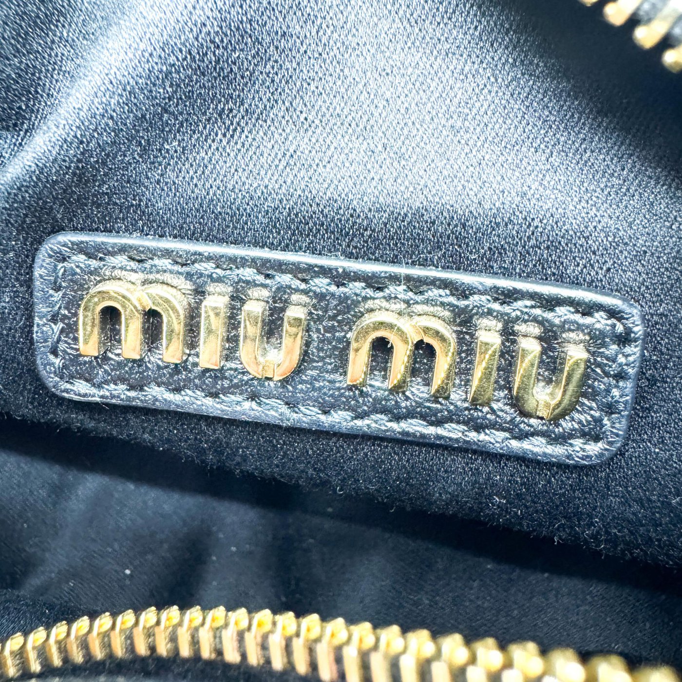 Miu Miu Wander Hobo Matelasse Leather Micro