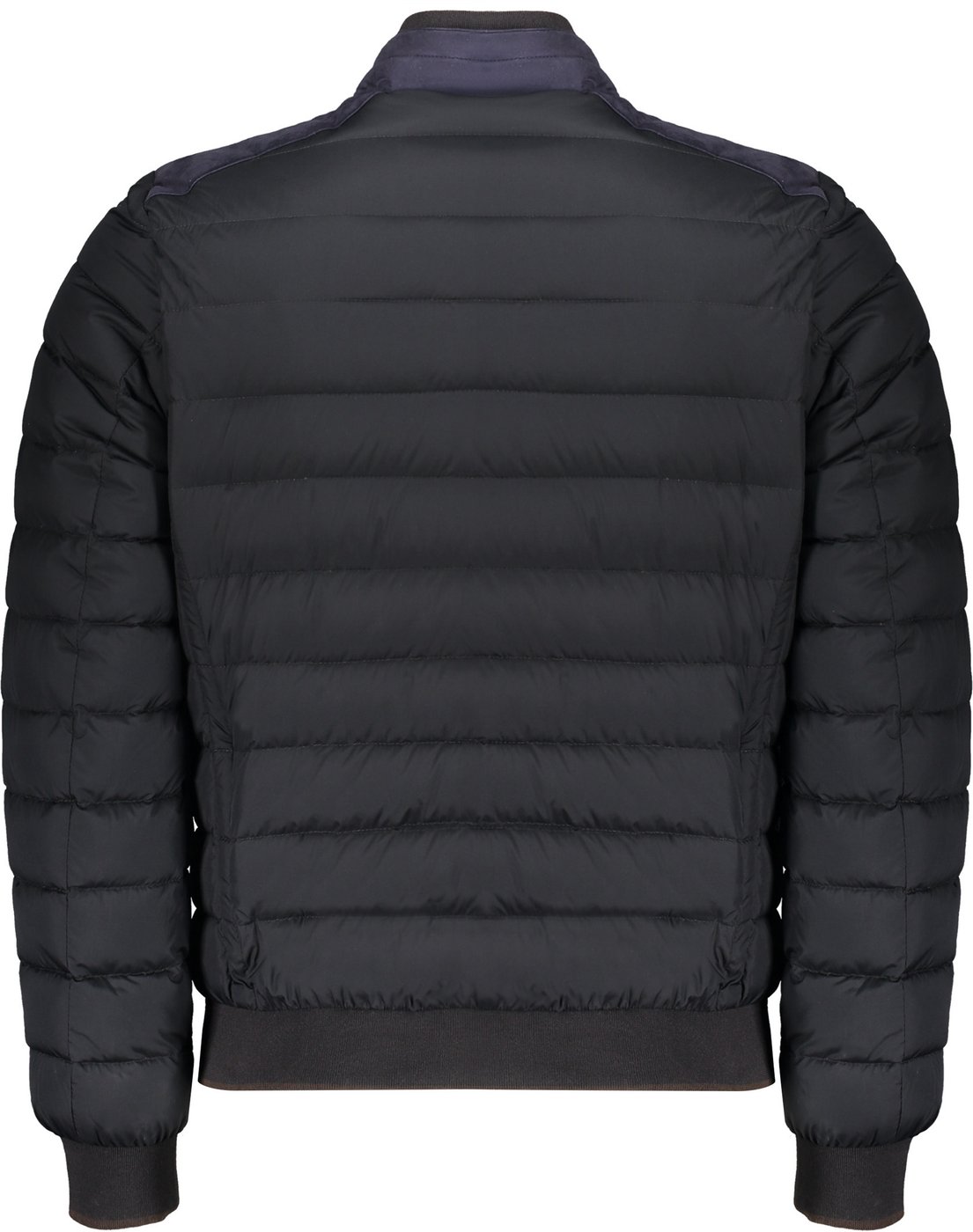 Modern lightweight jacket with zip