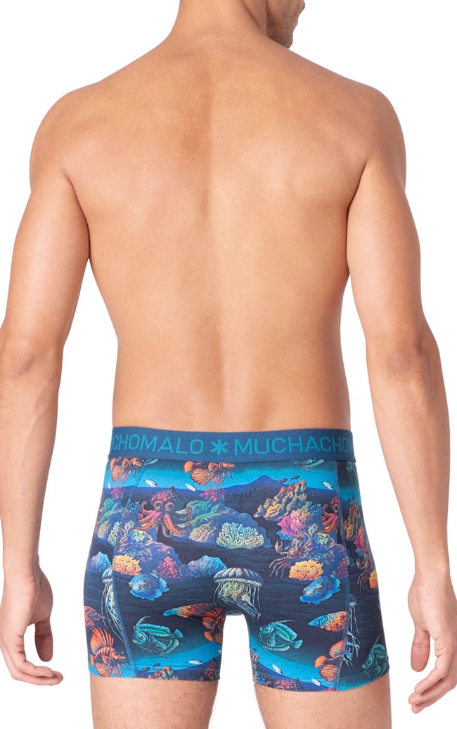 Boxershorts 3-Pack Multicolor
