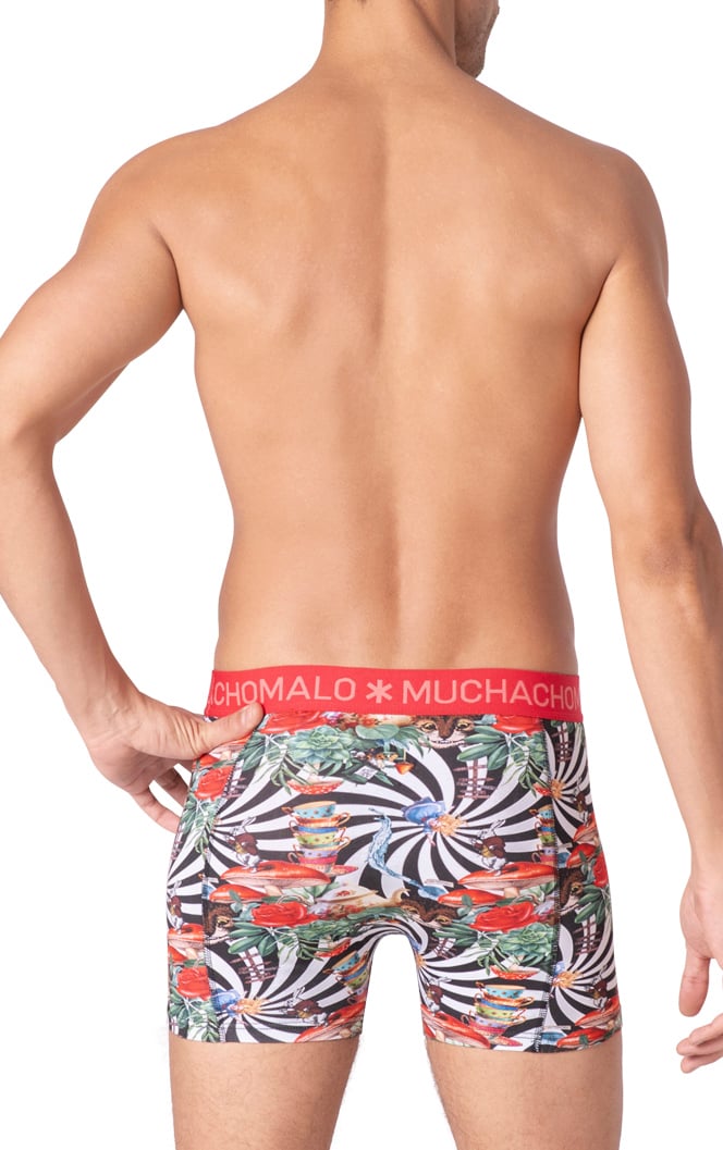 Boxershorts 2-Pack Multicolor