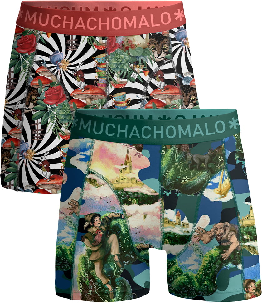 Boxershorts 2-Pack Multicolor
