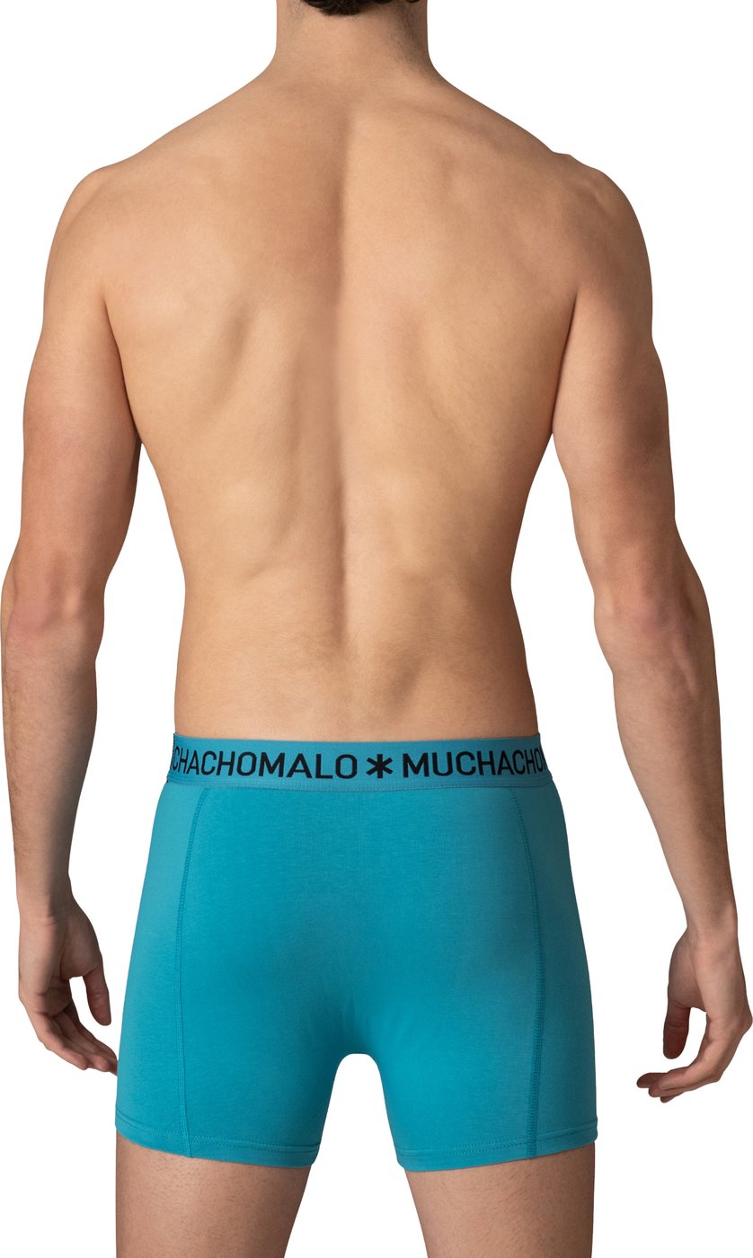 Boxershorts 5-Pack Multicolor.