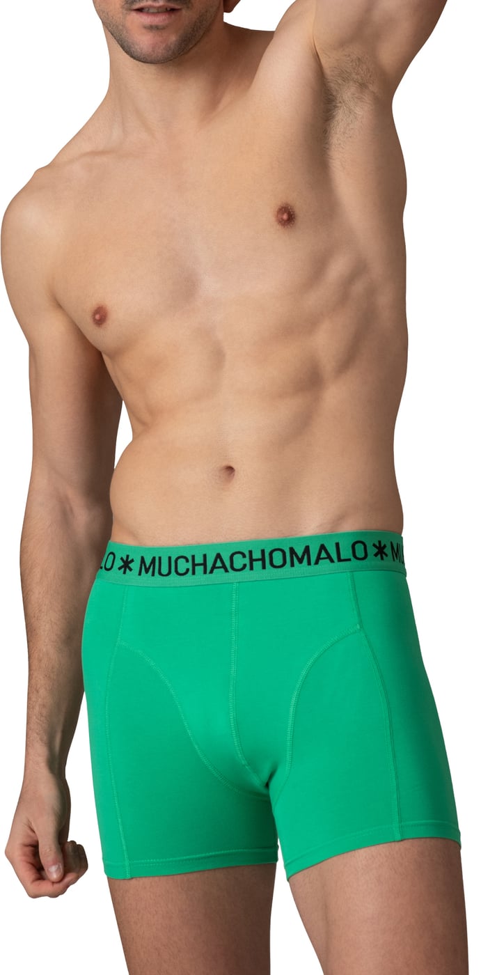 Boxershorts 10-Pack Multicolor