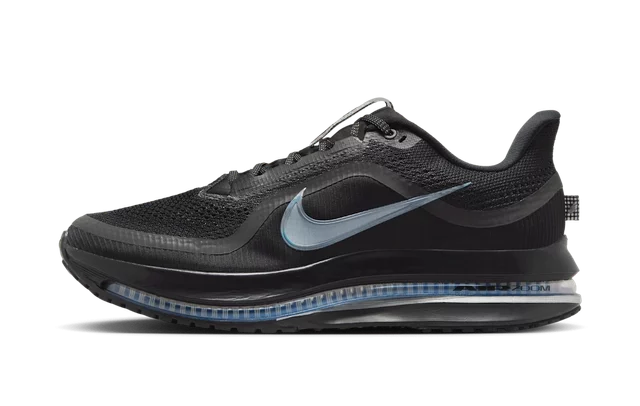 Nike Performance PEGASUS PREMIUM