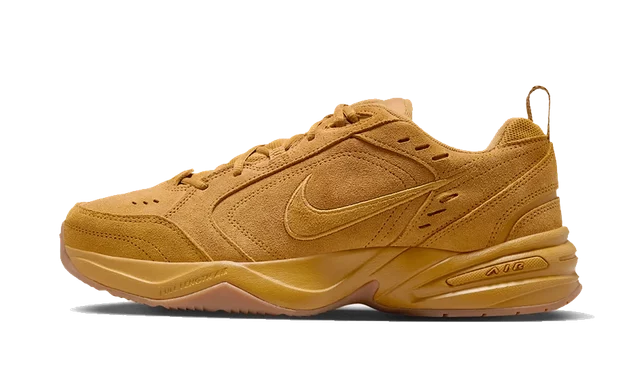 Nike Air Monarch SE