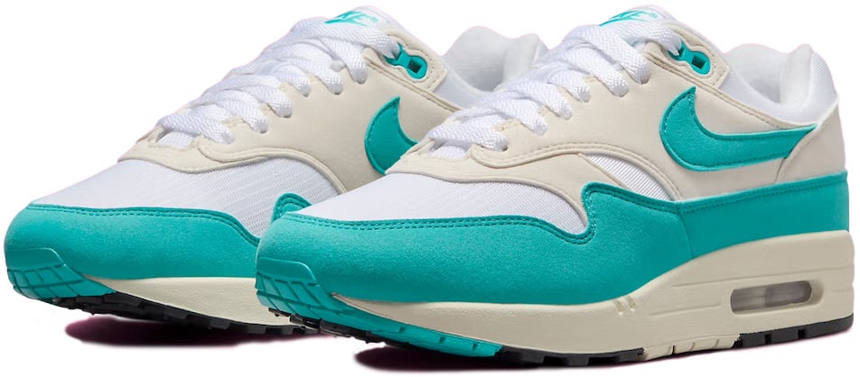 Nike Air Max 1 Dusty Cactus (W)