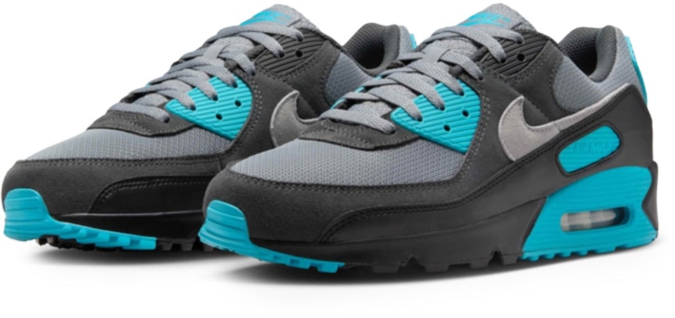 Nike Air Max 90 'Cool Grey Dusty Cactus Black Wolf Grey'