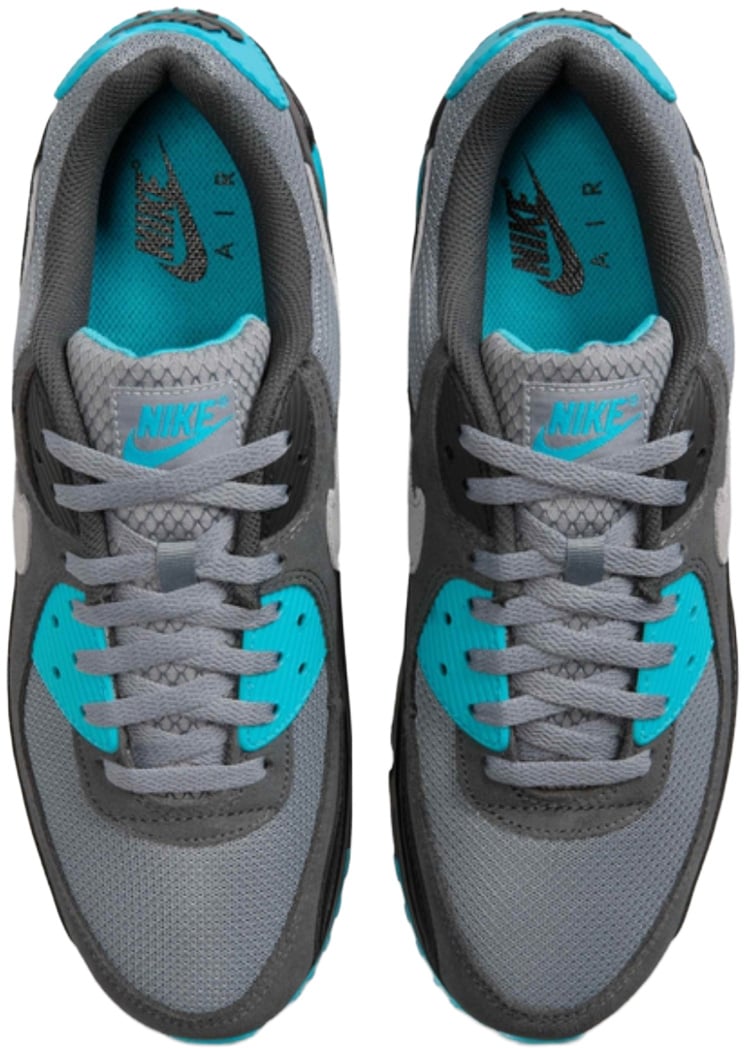 Nike Air Max 90 'Cool Grey Dusty Cactus Black Wolf Grey'