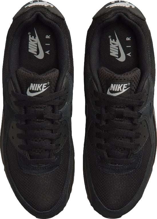 Nike Air Max 90 'Black Light Smoke Grey'