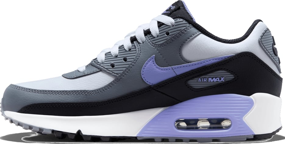 Nike Air Max 90 Leather 'Light Thistle' (GS)