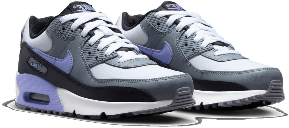 Nike Air Max 90 Leather 'Light Thistle' (GS)