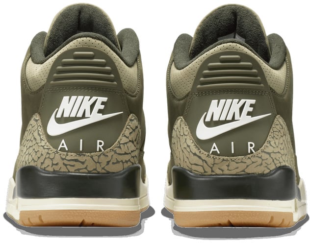 Air Jordan 3 Retro 'Family Affair'