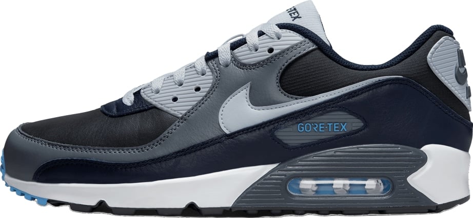 Air Max 90 GORE-TEX 'Anthracite Obsidian'