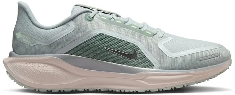 Nike Air Zoom Pegasus 41 Gore-Tex Light Pumice Metallic Silver