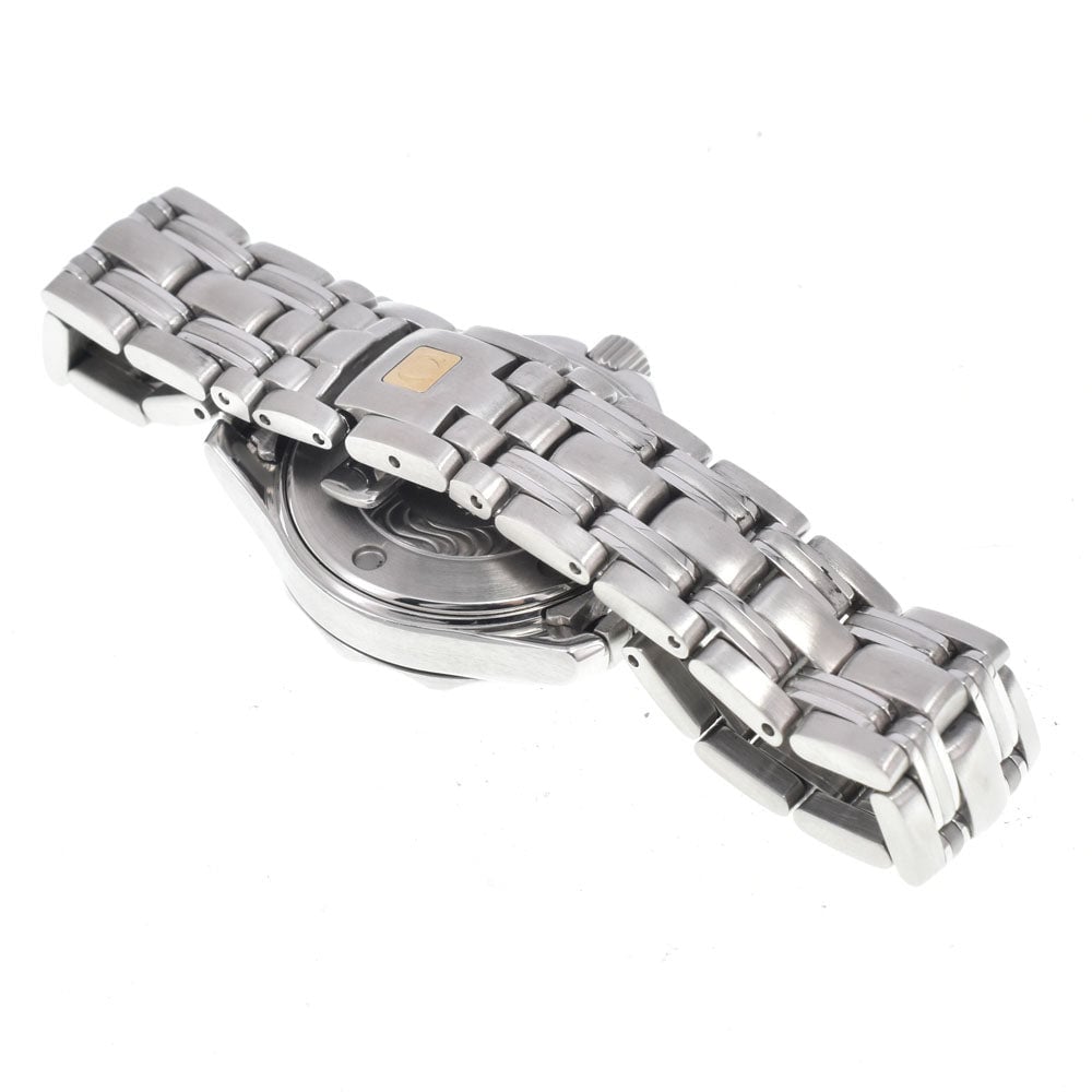 Omega Seamaster Professional 300M Quartz Stainless Steel 28