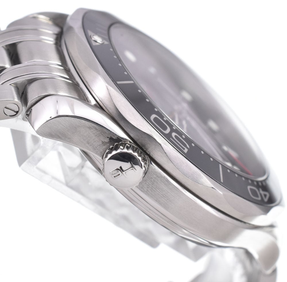 Omega Seamaster Professional Diver 300M Co-Axial Chronometer Automatic Stainless Steel 41
