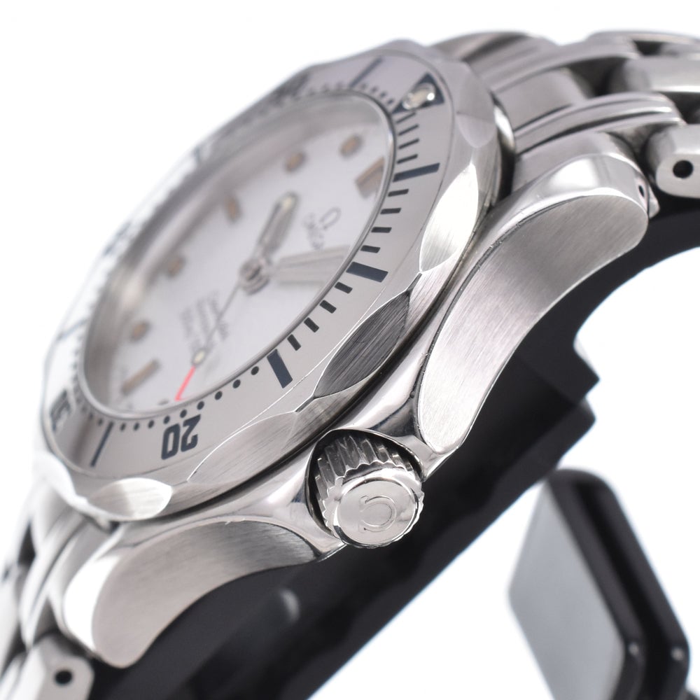 Omega Seamaster Professional 300M Quartz Stainless Steel 29