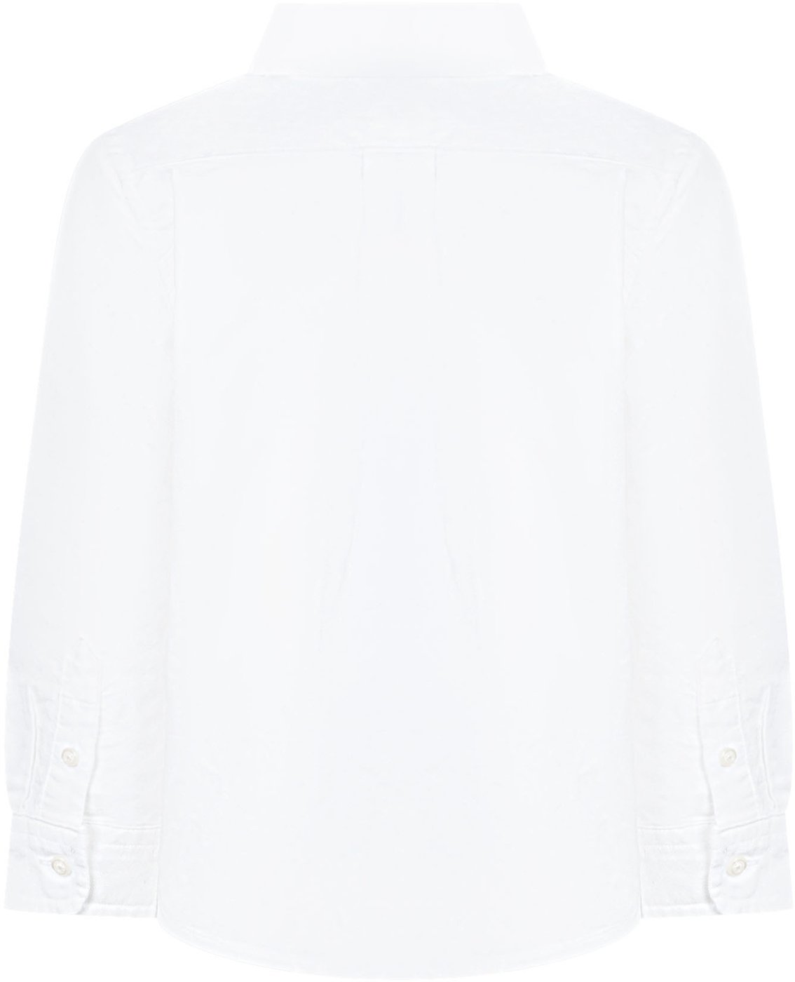 Camicia in Cotone con Colletto Button-Down