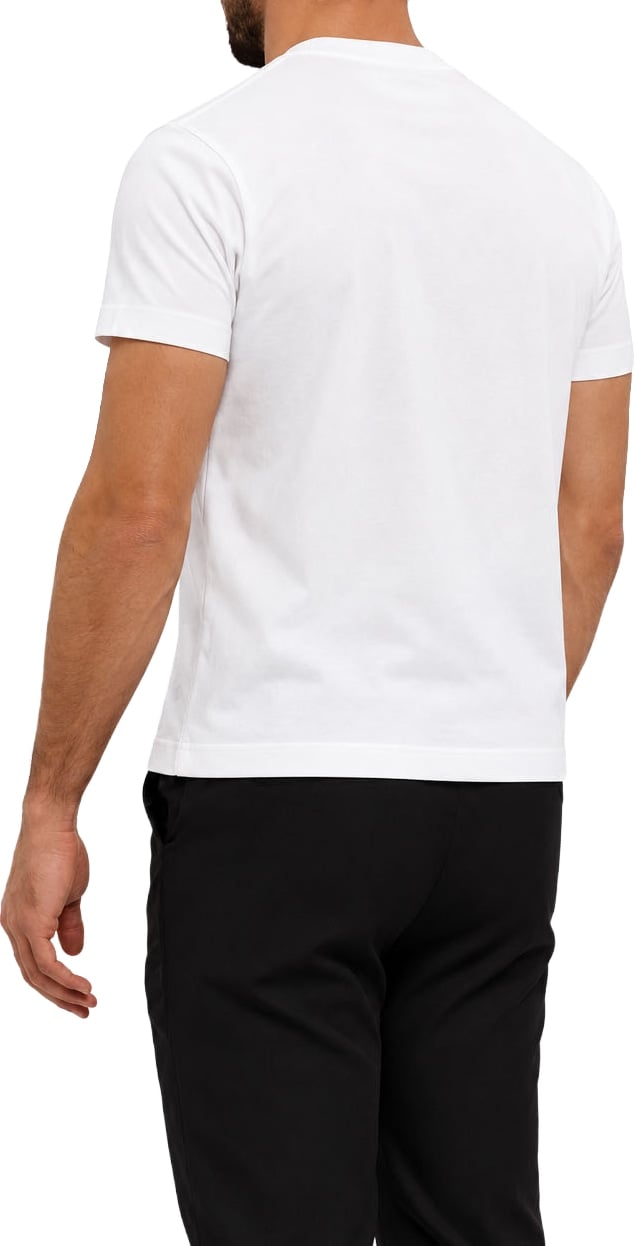 CLASSIC COTTON T-SHIRT WHITE