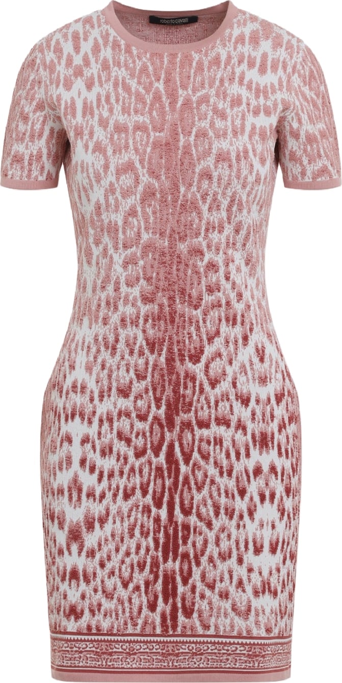Roberto Cavalli Jaguar Print Dress