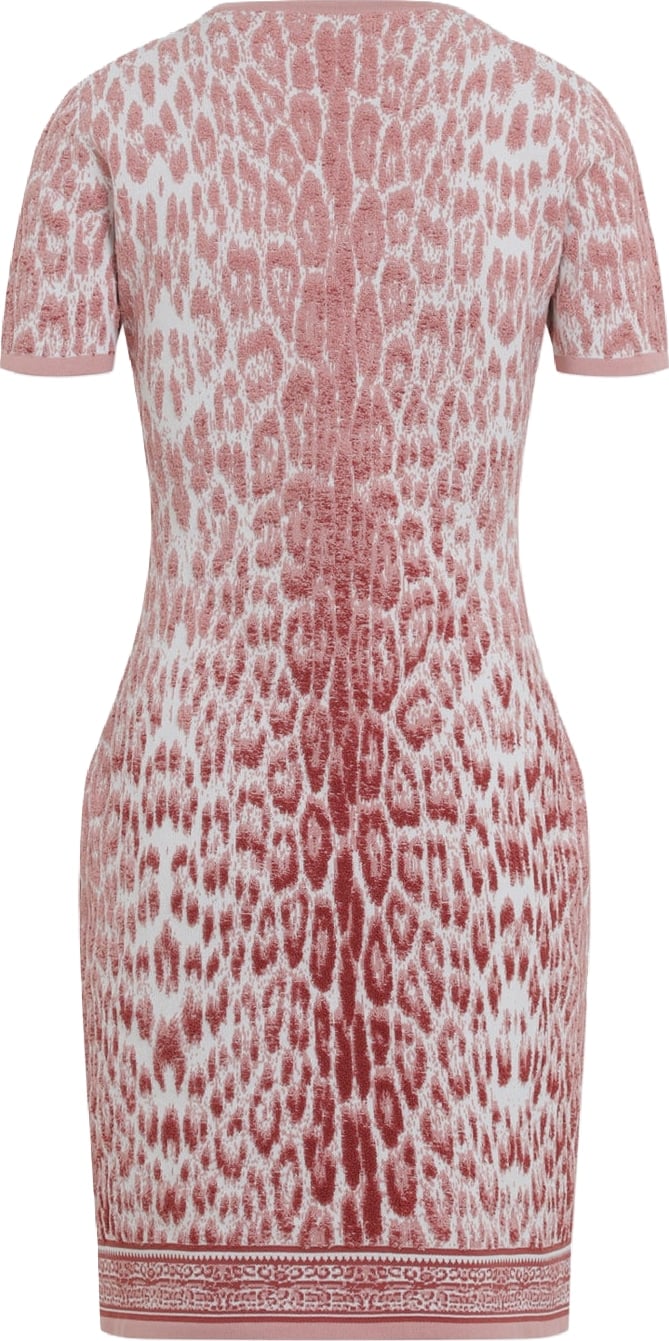 Roberto Cavalli Jaguar Print Dress