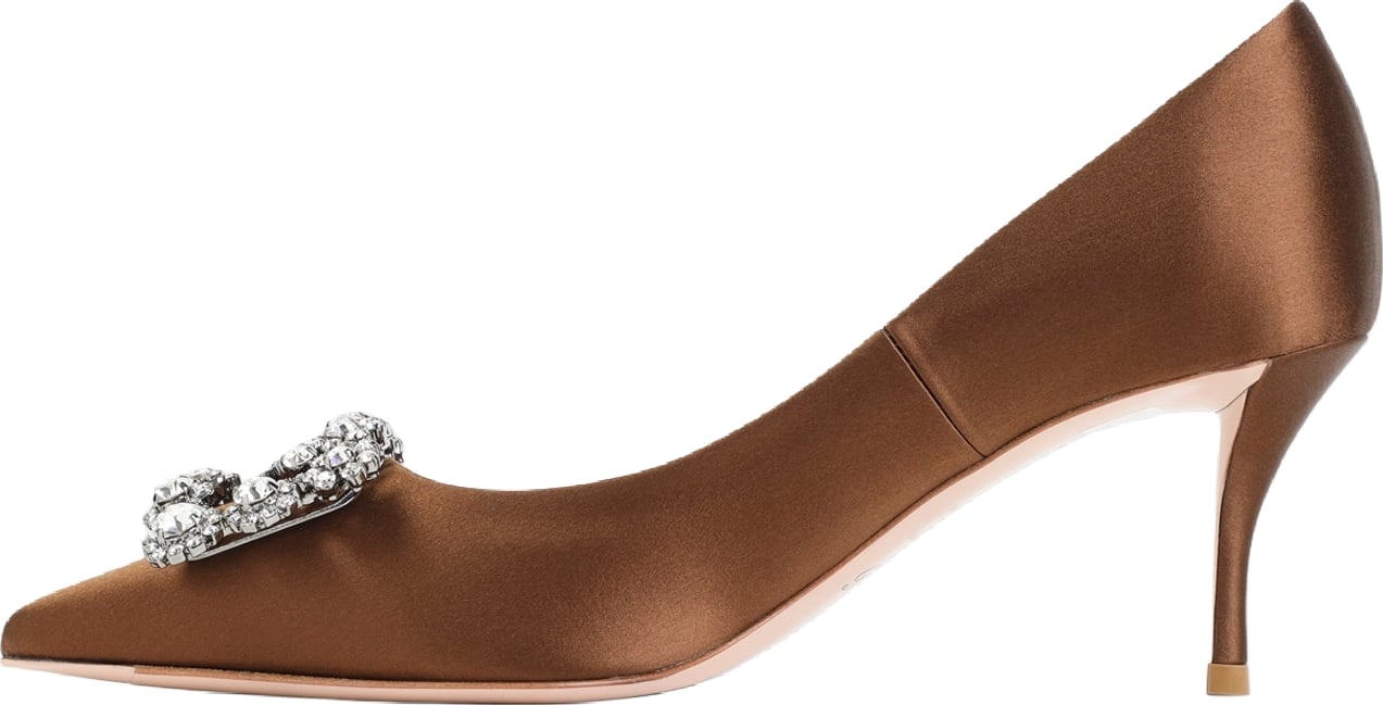 Roger Vivier Flower Strass 65 Pumps