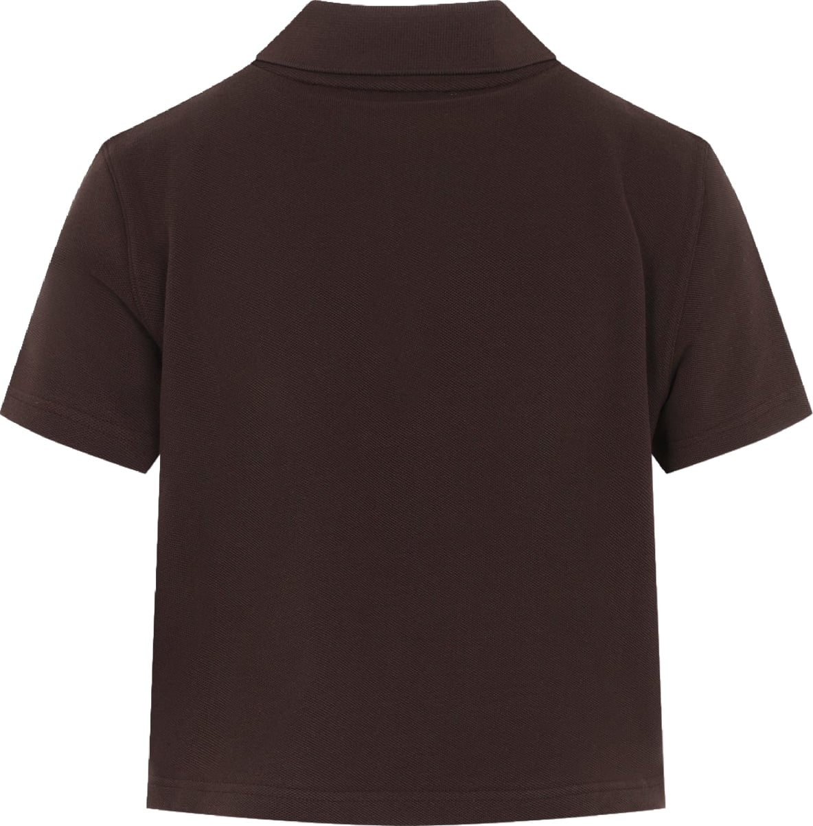 Saint Laurent Petit Cassandre Polo