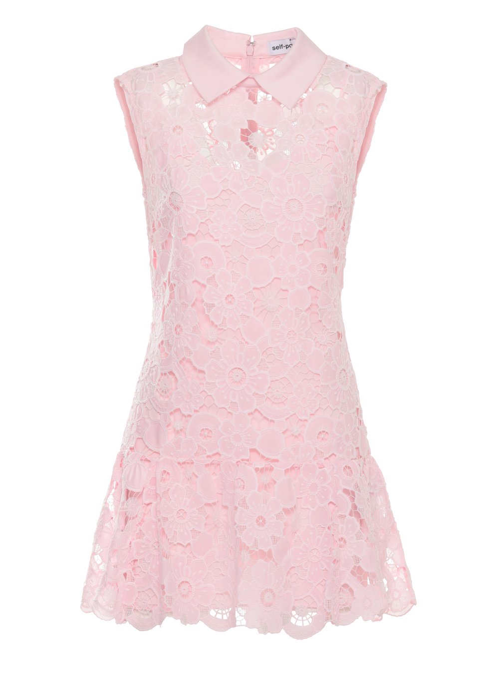 Lace Mini Dress With Classic Collar And Fitted Bodice