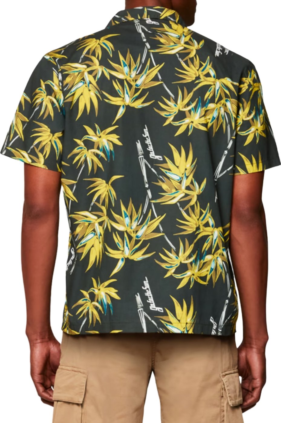 Shirts Pine