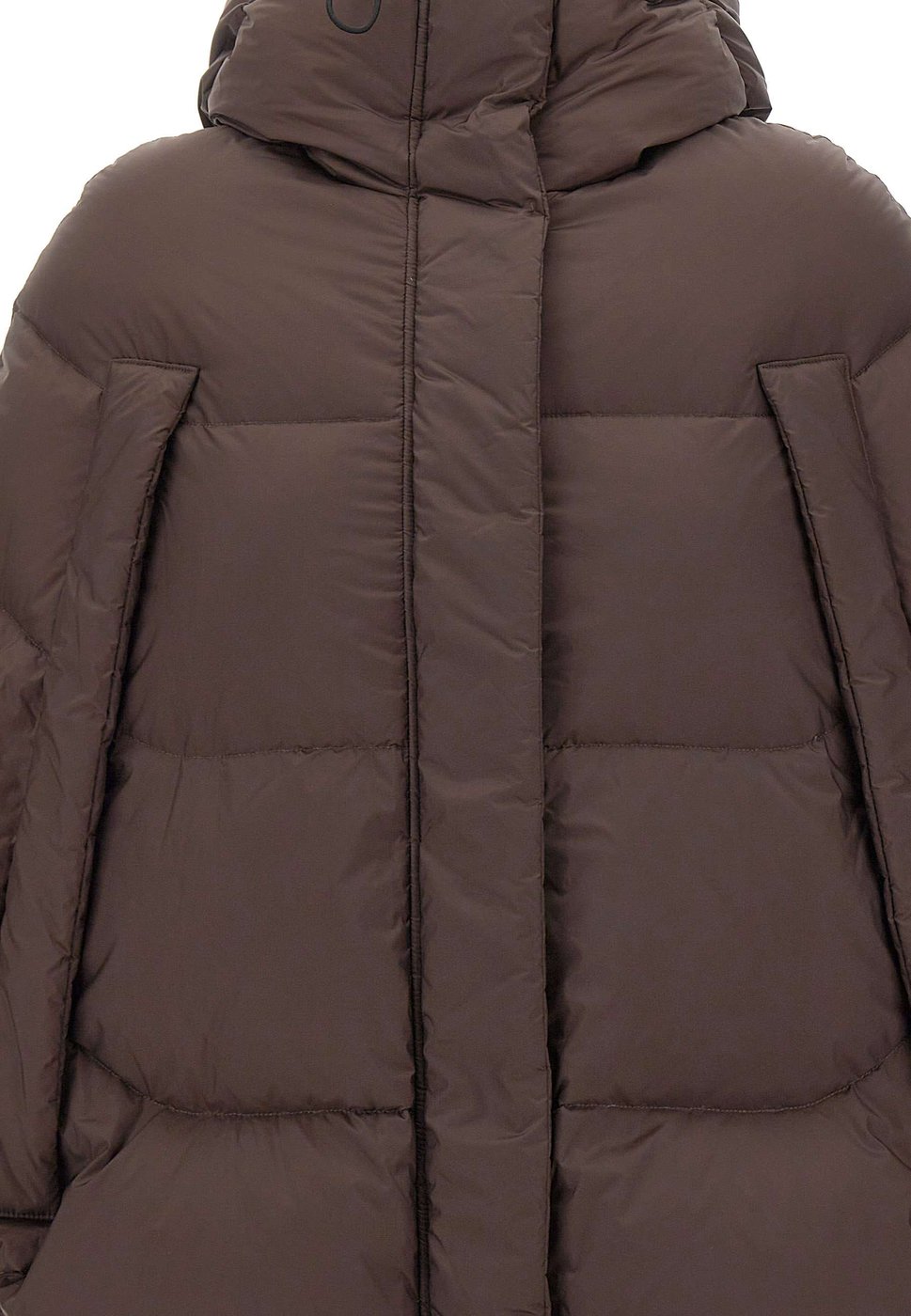 Coats Brown