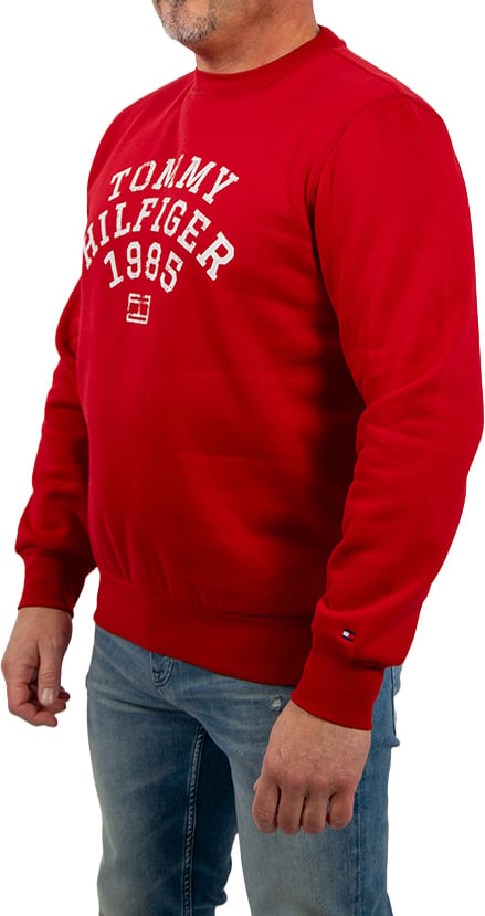 Tommy Hilfiger Hilfiger Arch Sweatshirt