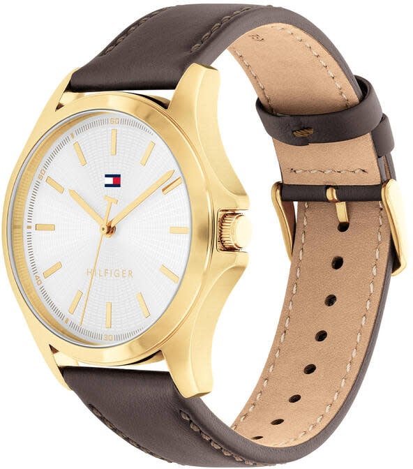 Tommy Hilfiger Horloge TH1792204 Bruce Staal met Geelgouden Plating en Bruin Leren Horlogeband 43mm