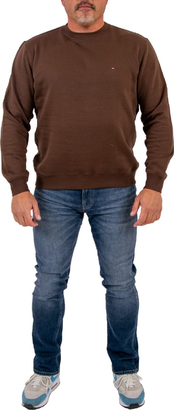 Tommy Jeans Reg S Flag Crew Ext