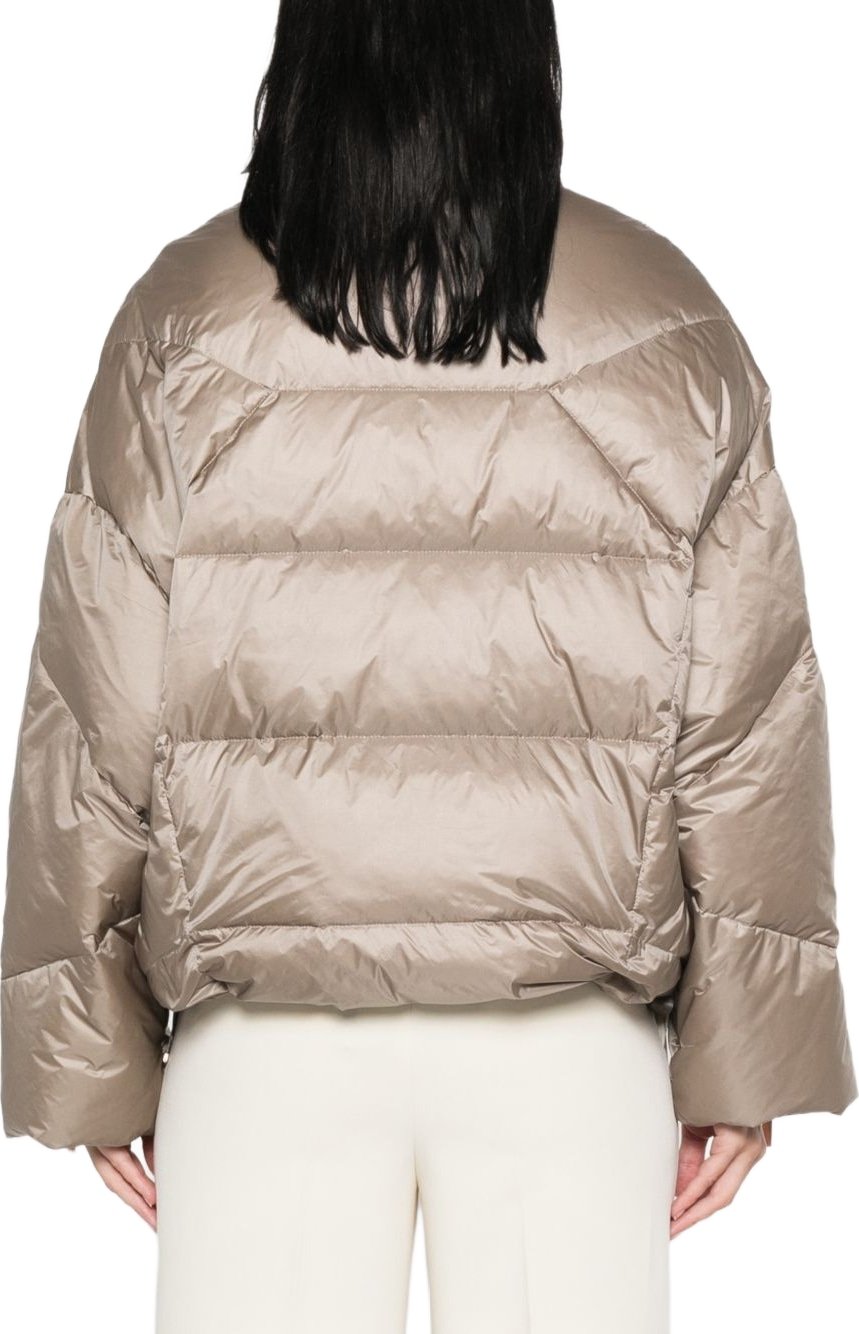 Coats Mastice