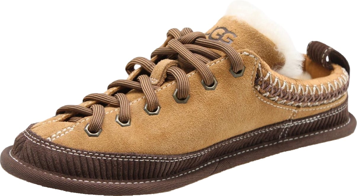 Slipper Brown