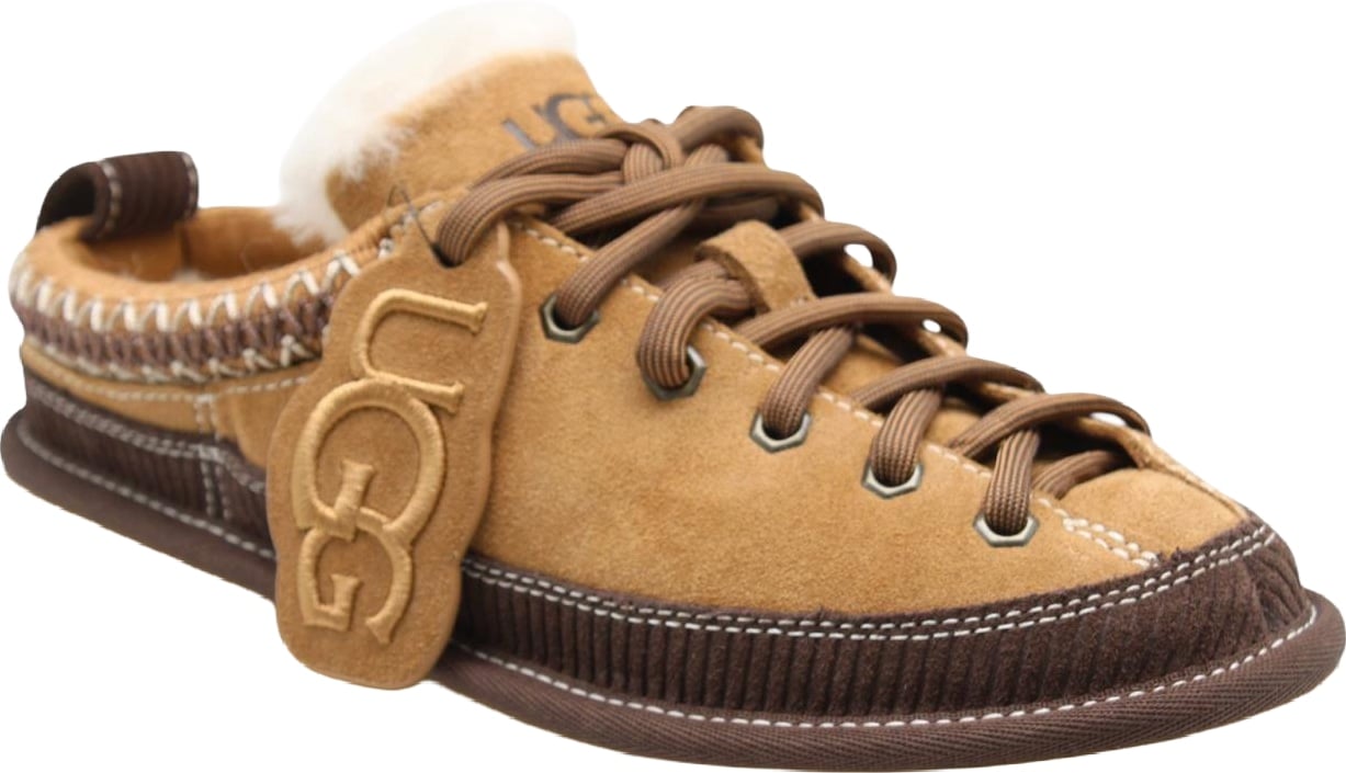 Slipper Brown