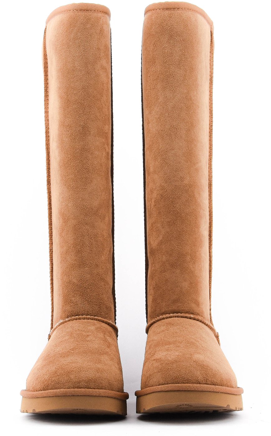Classic Ultra Tall Chestnut
